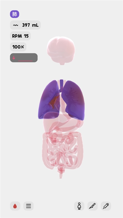 生命人体模拟器安装最新版v1.0 生命人体模拟器安装最新版v1.0