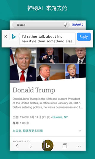 微软必应最新绿色版v30.3.4