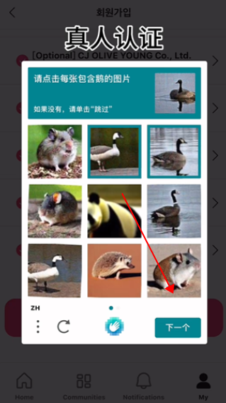 pluschat全网通用版v15.19.