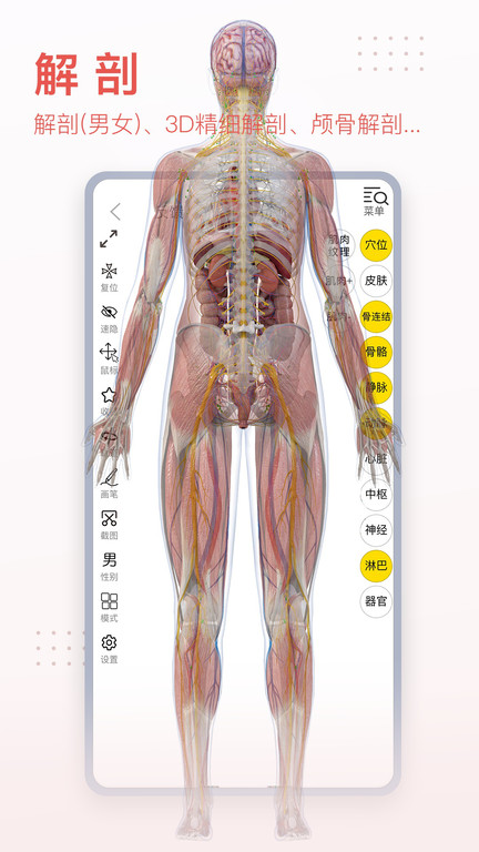 3DBody全关卡解锁版v8.6.