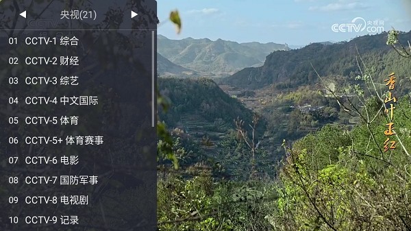 webview电视最新绿色版v1.12.1