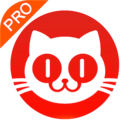 猫眼票房专业版最新版下载