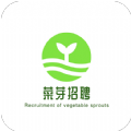 菜芽招聘app下载