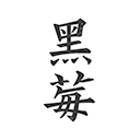 黑莓小说最新版下载 v1.3.7