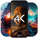4K壁纸app最新版下载 v4.1.1