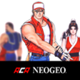 真饿狼传说特别版下载 v1.1.0