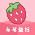 草莓壁纸官服最新版v1.7.4/