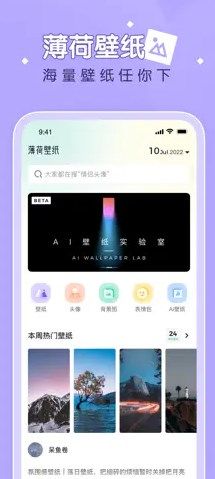薄荷壁纸全网通用版v1.5.0