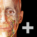 3D人体解剖2023正式版/