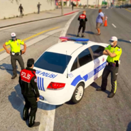 土耳其警察全关卡解锁版v0.0/