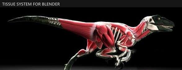 X-Muscle System(Blender肌肉系统模拟插件)电脑版 2.47 免费版